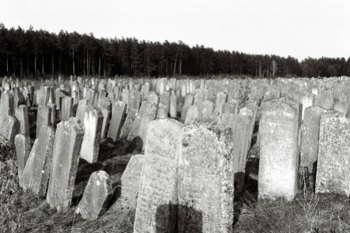 Brody - Jewish cemetery