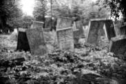 Jewish Cemetery, Vashkivtsi, UA, 2013 ©Sylvia de Swaan