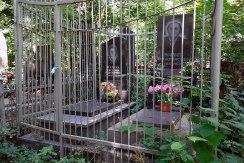 Lviv Jewish cemetery
