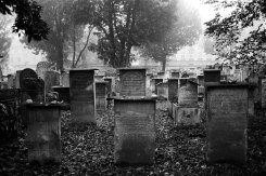 Krakow - Old Jewish Cemetery