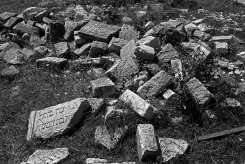 Zolotyi Potik (Galicia) - Jewish cemetery
