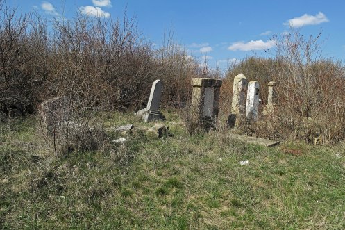 Rezina - Jewish cemetery