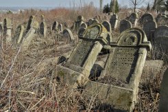 Soroca - Jewish cemetery