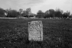 Lipcani Jewish cemetery