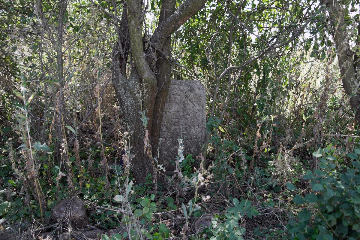 Balamutivka Jewish cemetery