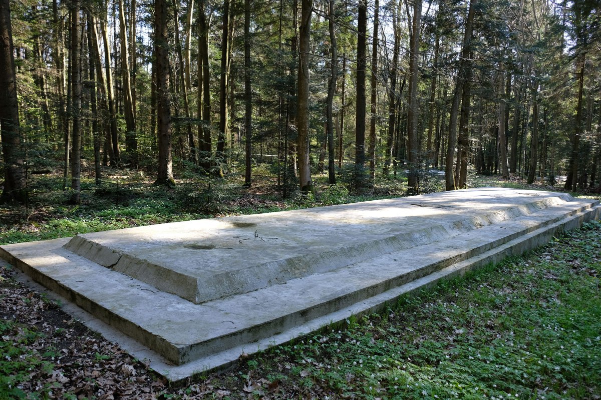 Bronytsya forest mass graves