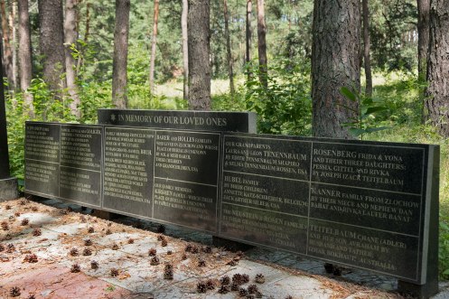 Mass grave site between Zolochiv and Sasiv