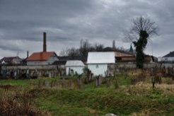 Vynohradiv - Jewish cemetery