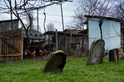 Sasovo - Jewish cemetery