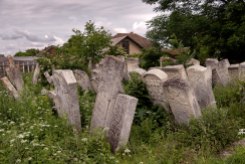Burshtyn - Jewish cemetery