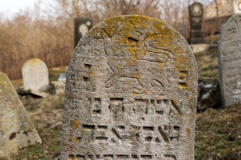 Chernivtsi (Podolia) Jewish cemetery