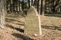 Rubezhevichy - Jewish cemetery