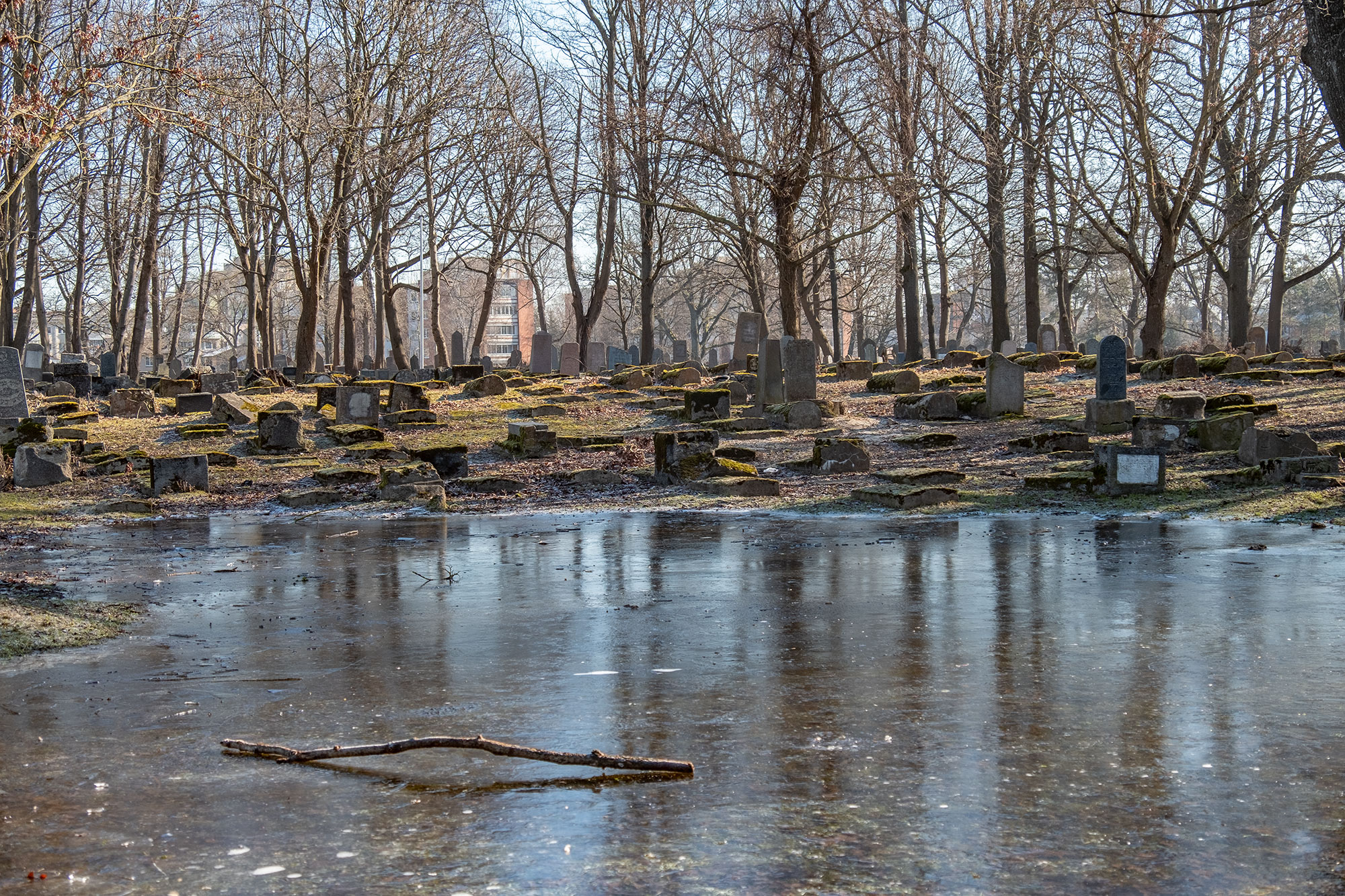 Kaunas, Žaliakalnis Jewish cemetery