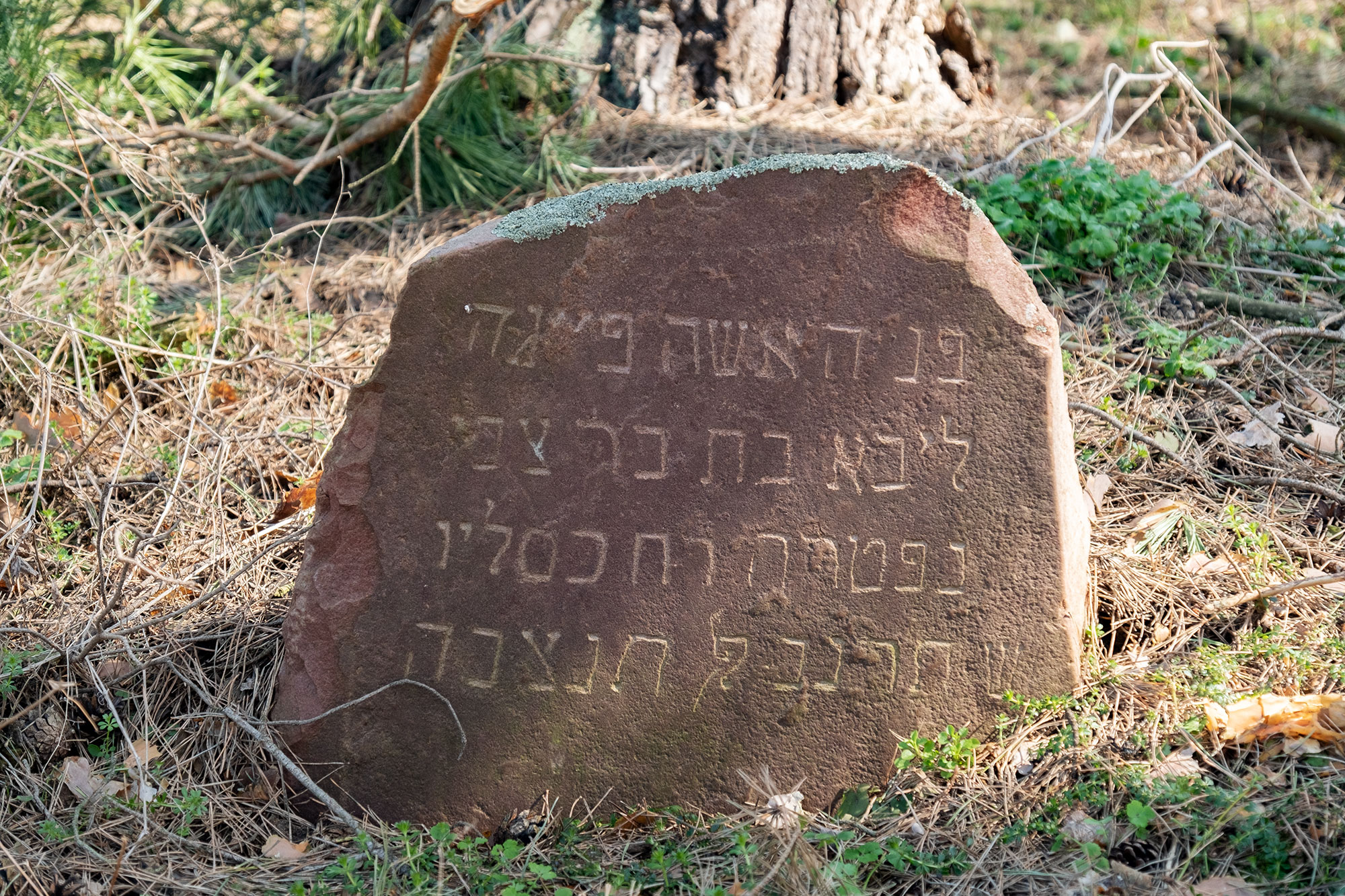 Lazdijai - Jewish cemetery
