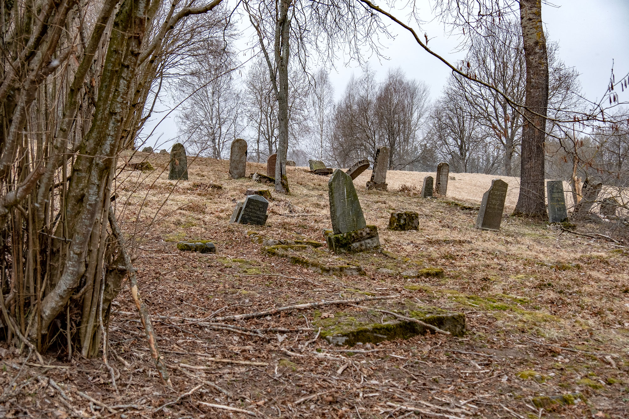 Skaudvilė - Jewish cemetery