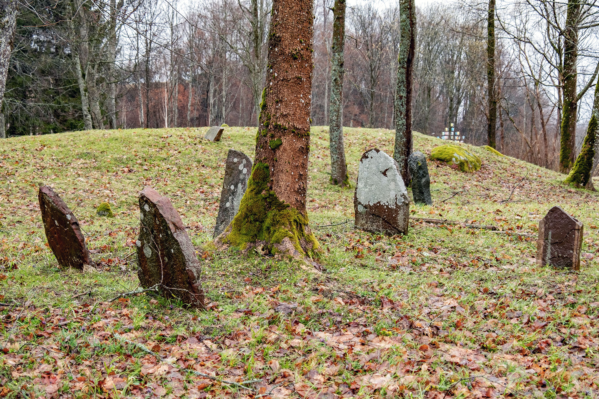 Veivirzenai - Jewish cemetery