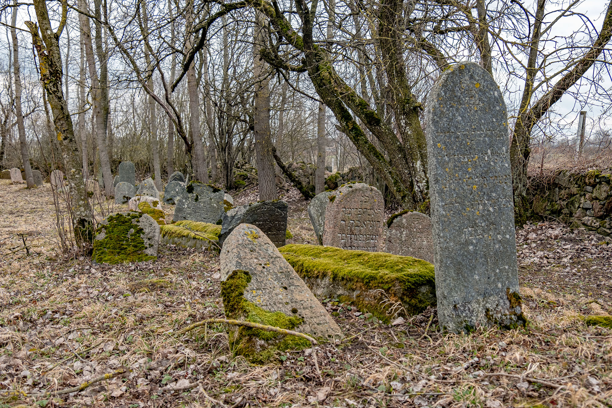 Linkuva - Jewish cemetery